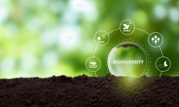 Ecology and Biodiversity Conservation